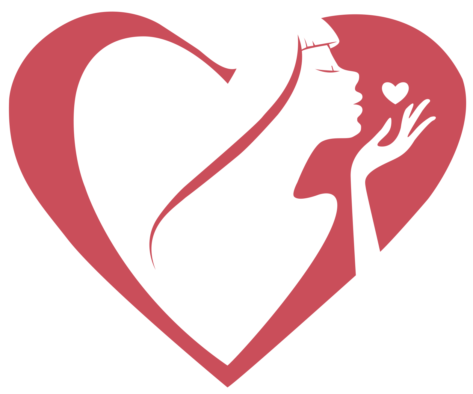 logo_tata_sonata